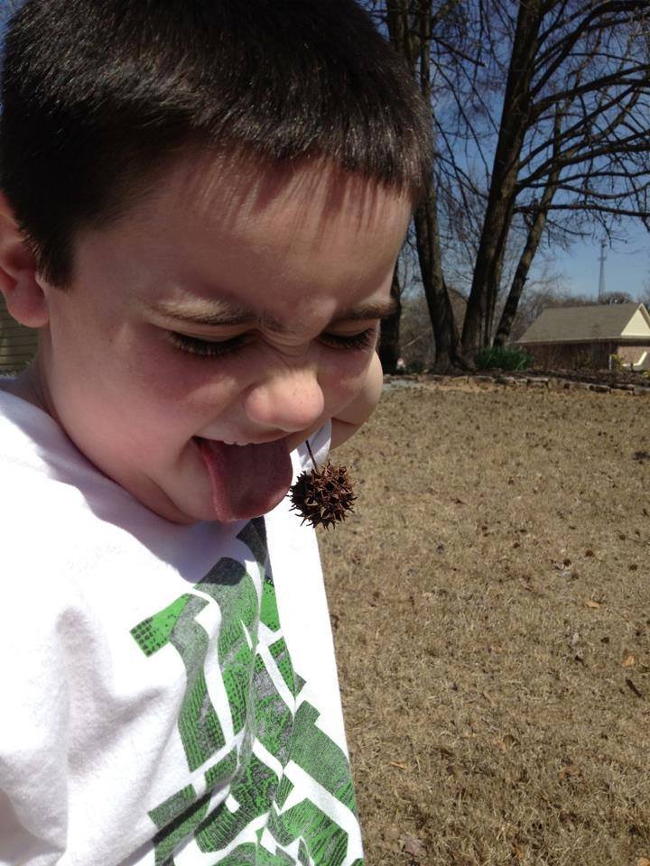 Gabriel Pretends to Eat (& Puke Up) a "Spike Cherry" on Our Hike